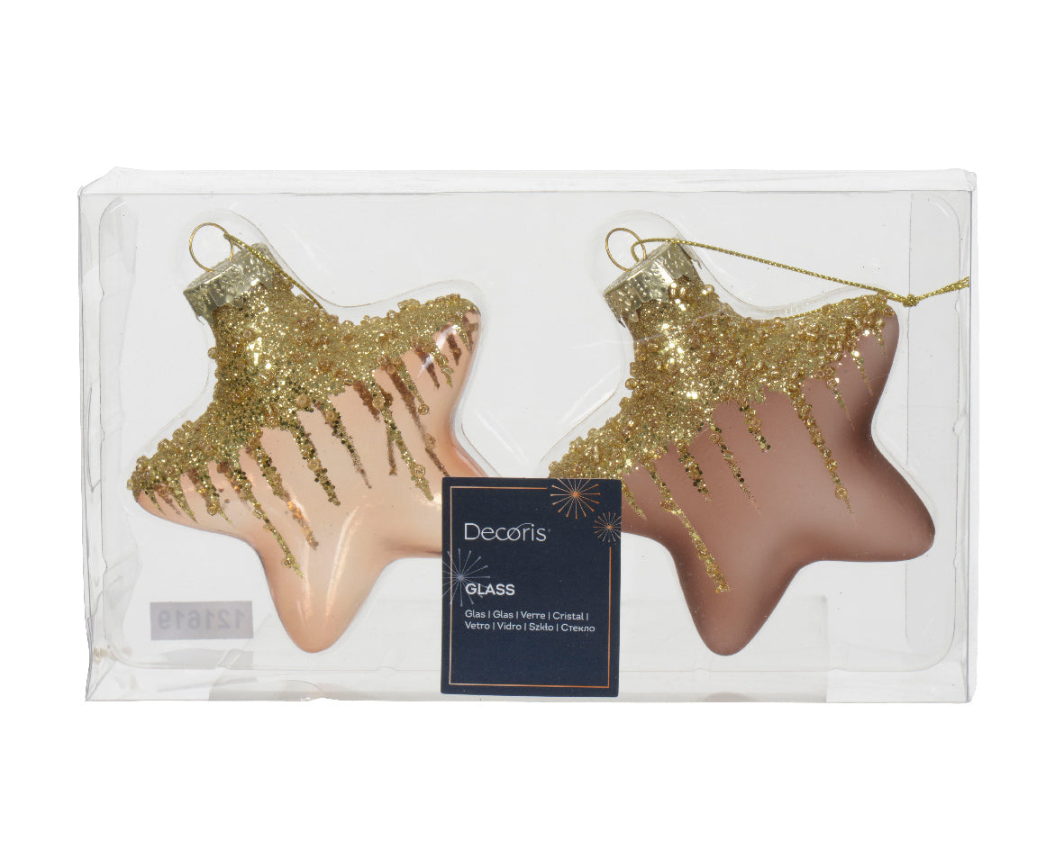 Χριστουγεννιάτικo αστέρι (set 2 τεμαχίων)