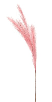 Pink Pampas Grass 80 cm