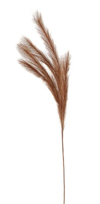 Light brown Pampas Grass 80 cm