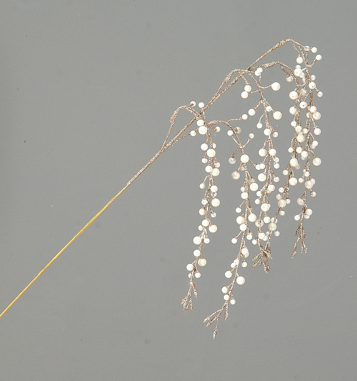 Διακοσμητικό κλαδί