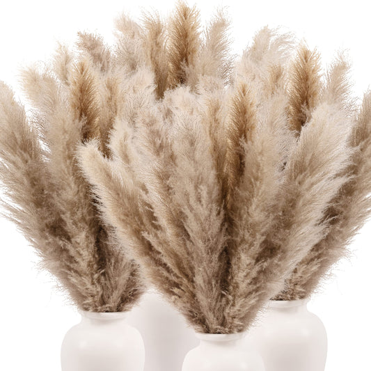 Pampas grass 66 cm - 10 pcs